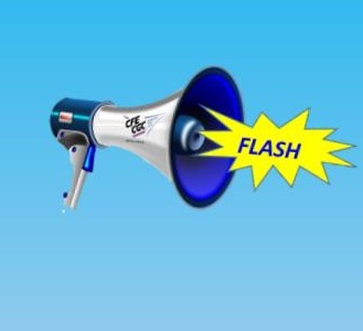 Flash CSE-C du 13 novembre 2024