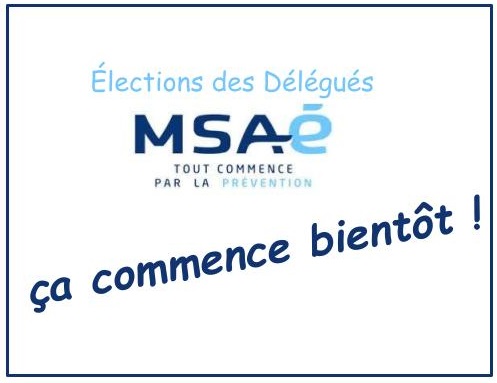 Élections des Délégués MSAé