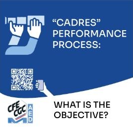 &ldquo;CADRES&rdquo; PERFORMANCE PROCESS: